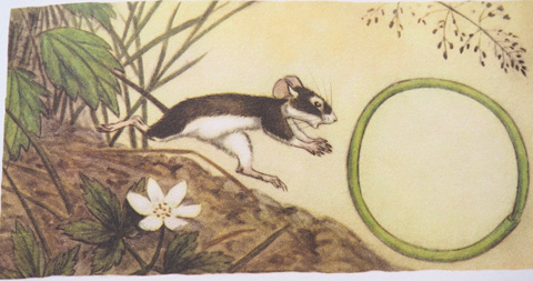 まいごになった子ねずみ